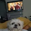 rachelcoyle675 - @rachelcoyle675 - TikTok