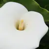 Rachel Cramer - @rachel.cramer - TikTok