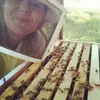 Rachelle - @rachelledinger - TikTok