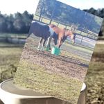 Rachel Doolittle - @doolittle489 - Instagram