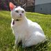 Rachel Doolittle - Facebook