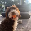 Rachel Drew - @c_021122 - TikTok