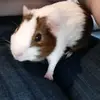 Rachel Drew - @32206racheldrew - TikTok
