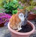 Rachel Dunning - Facebook