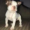 Rachel Dunning - @racheldunning0 - TikTok