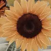 Rachel Easterwood - @rachel_easterwood_2006 - TikTok