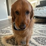 Rachel Faller - @faller_rachel - Instagram