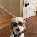 Rachel Farris - @rachee_42 - Instagram