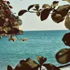 Rachel Farris - @rachel.farris0 - TikTok