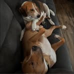 Rachel Feeko - Facebook