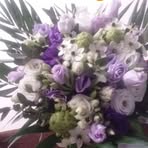 Rachel Gamache - Facebook