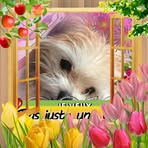 Rachel Gamache - Facebook
