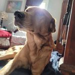 Rachel Gamache - @regamache - Instagram