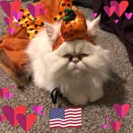 Rachel Germann - Facebook