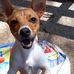 Rachel Goad - Facebook