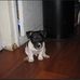 Rachael Griggs - Facebook