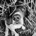 Rachel Griggs - Facebook