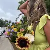 rachel ann - @rachelgroth2 - TikTok
