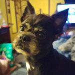 Rachel Gwin - @madreborchers73 - Instagram