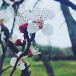 Rachel Gwin - @reytakespics - Instagram