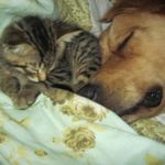 ray gwinn - @rachelgwinn78 - Instagram