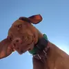 rachel hackett - @hackettrachel - TikTok