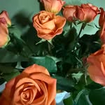 Rachel Hackman Michaels - @commongirl101l - Instagram