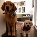 Rachel Halpern Hoffmeister - @rrrachkate - Instagram