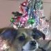 Rachael Hamby - Facebook