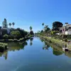 rachel_hammell - @rachel_hammell - TikTok
