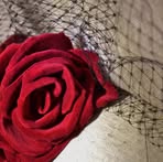Rachel Harney - Facebook