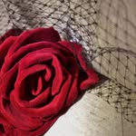 Rachel Harney - @hatsbyrachel.ie - Instagram