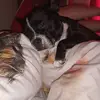 rachelheard - @rachelheard - TikTok