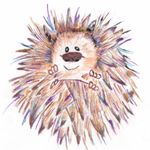 Ryston Rachel’s Hedgehog Hotel - @rystonrachelshedgehoghotel - Instagram