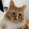 rachel.helmick - @rachel.helmick - TikTok