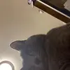 rachelhetzel741 - @rachelhetzel741 - TikTok