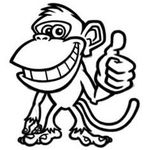 Rachael Hinde - @madmonkeymosaics - Instagram