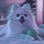 Rachel Hoffmann - @rachelhoffmann992 - Instagram