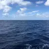 Rachel Holbert - @rachelholbert338 - TikTok