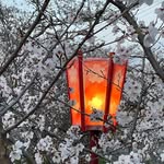 Rachel Holbert Nishida - @koala2all - Instagram