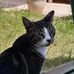 Rachel Humbert - Facebook