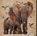 Rachel Holman - Facebook