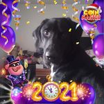Rachel Hoyle - @vampyrpet - Instagram