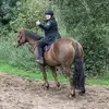 rachelinnes2 - @rachelinnes2 - TikTok