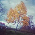 @Rachel jarrell - @jarrell7788 - Instagram