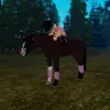 Rachel.jumper - @rachel.eq14 - TikTok