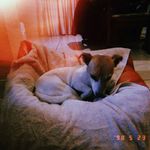 Nikita Rocky Rachel - @nikita.rocky.rachel_keyter - Instagram