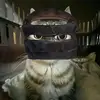 rachel - @rachelkinder8 - TikTok