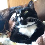 Rachel Klima - @gravityontrial - Instagram