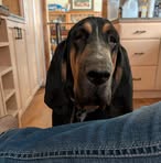 Rachel Klink - Facebook